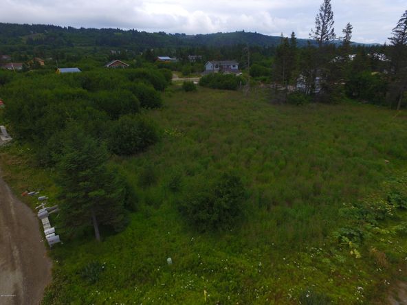 3658 Forest Glen Dr, Homer, AK 99603